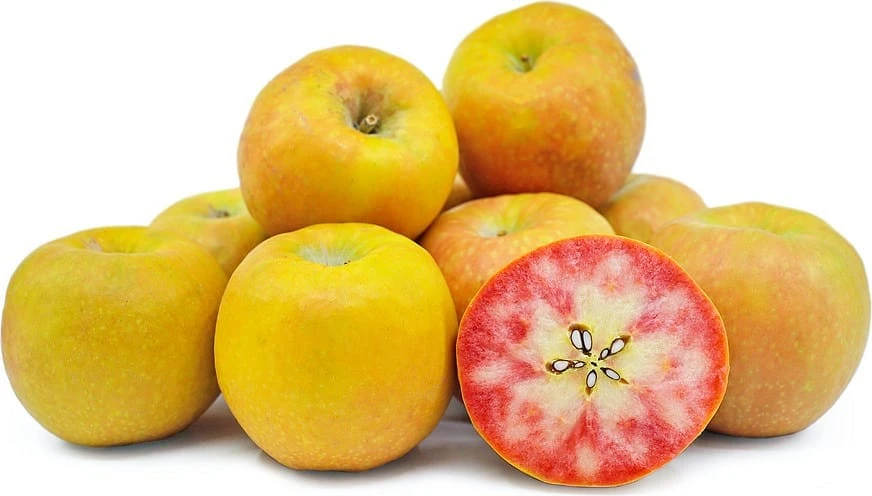 Lucy™ Glo Apple 1 Lucy™ Glo Apple