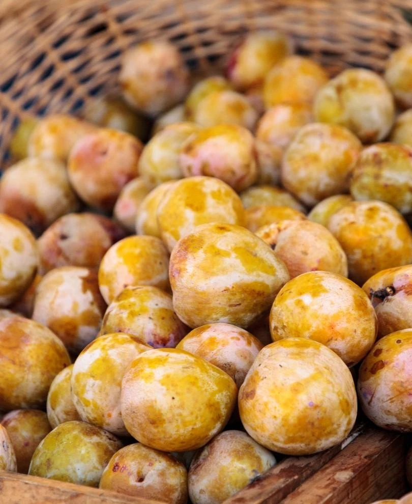 Emerald Beaut Asian Plum 1 Emerald Beaut Asian Plum