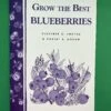Grow The Best Blueberries