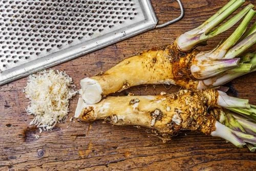 Horseradish 1 Horseradish