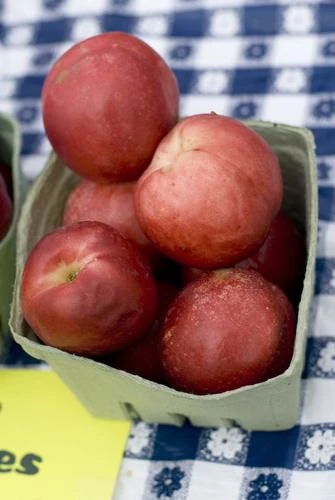 Raspberry Red Nectarine 1 Raspberry Red Nectarine