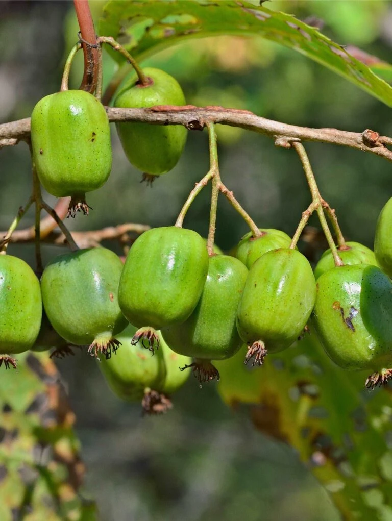 Front Page 24 Front Page -Alpha Shop shutterstock 490115617 1 768x1021 1